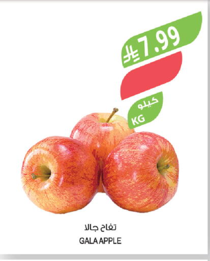 Apple available at المزرعة in مملكة العربية السعودية, السعودية, سعودية - نجران