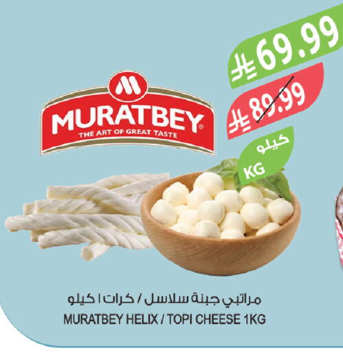 available at المزرعة in مملكة العربية السعودية, السعودية, سعودية - الباحة