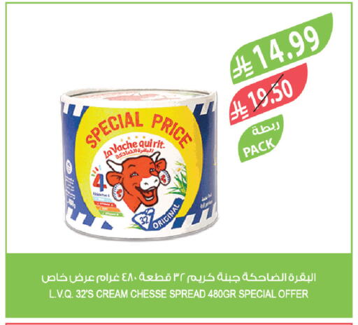 available at المزرعة in مملكة العربية السعودية, السعودية, سعودية - الخرج