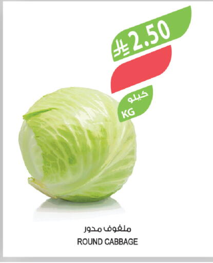 Cabbage available at المزرعة in مملكة العربية السعودية, السعودية, سعودية - الجبيل‎