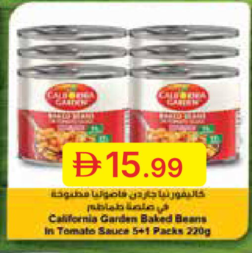Tomato available at جمعية الامارات التعاونية in الإمارات العربية المتحدة , الامارات - دبي