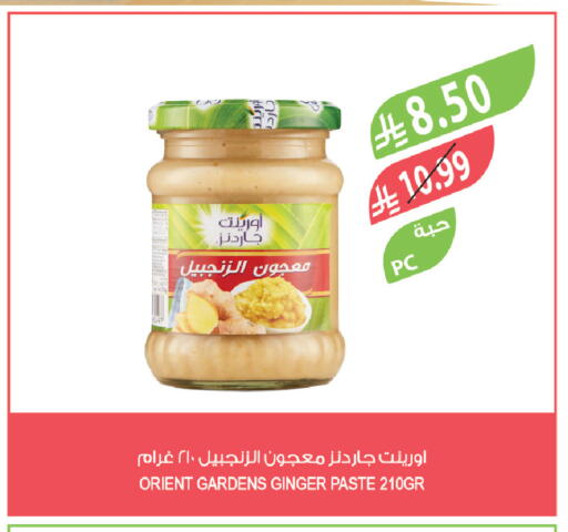 Ginger available at المزرعة in مملكة العربية السعودية, السعودية, سعودية - نجران