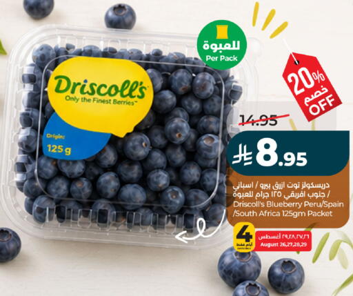 Blueberry BlueBerry from Spain South Africa available at لولو هايبرماركت in مملكة العربية السعودية, السعودية, سعودية - الأحساء‎