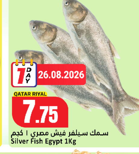 available at دانة هايبرماركت in قطر - الريان