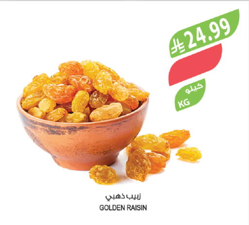 available at المزرعة in مملكة العربية السعودية, السعودية, سعودية - الجبيل‎