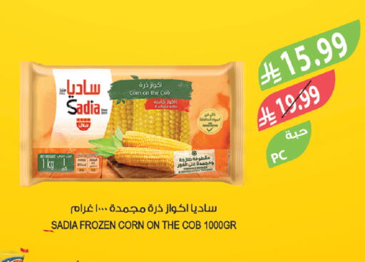 available at Farm  in KSA, Saudi Arabia, Saudi - Jubail