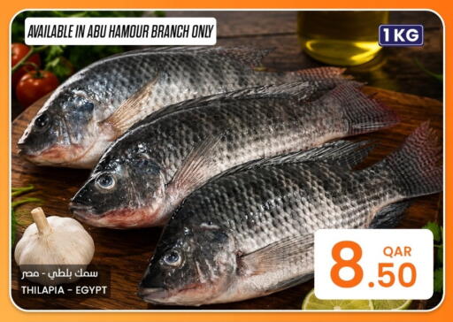 available at البلدي اليوم in قطر - الوكرة
