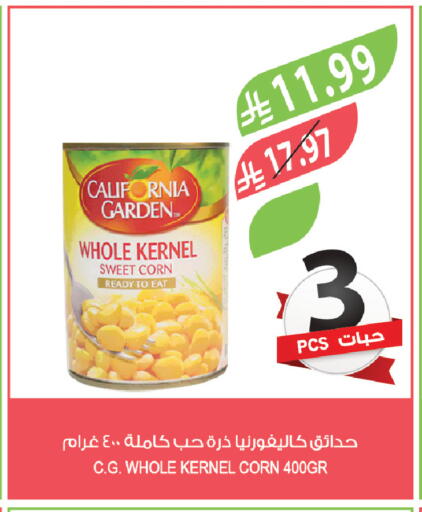 available at المزرعة in مملكة العربية السعودية, السعودية, سعودية - الخبر‎