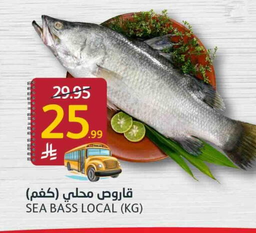 available at AlJazera Shopping Center in KSA, Saudi Arabia, Saudi - Riyadh
