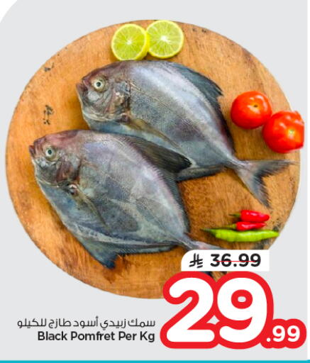 available at نستو in مملكة العربية السعودية, السعودية, سعودية - بريدة