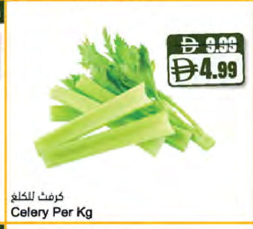 Celery available at المايا سوبرماركت in الإمارات العربية المتحدة , الامارات - دبي
