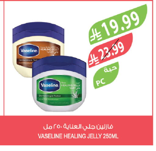 available at المزرعة in مملكة العربية السعودية, السعودية, سعودية - الباحة