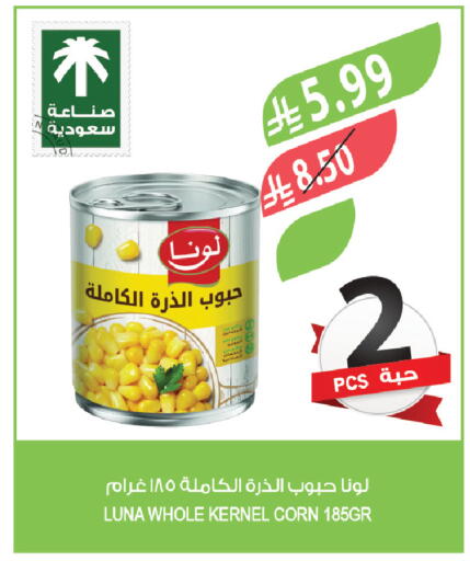 available at المزرعة in مملكة العربية السعودية, السعودية, سعودية - الباحة
