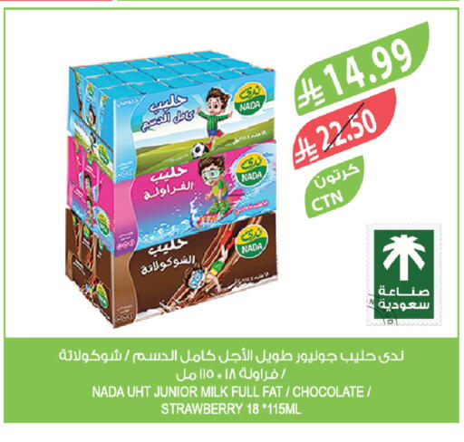 Strawberry available at Farm  in KSA, Saudi Arabia, Saudi - Jubail