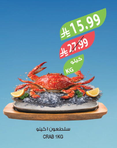 available at المزرعة in مملكة العربية السعودية, السعودية, سعودية - الخرج