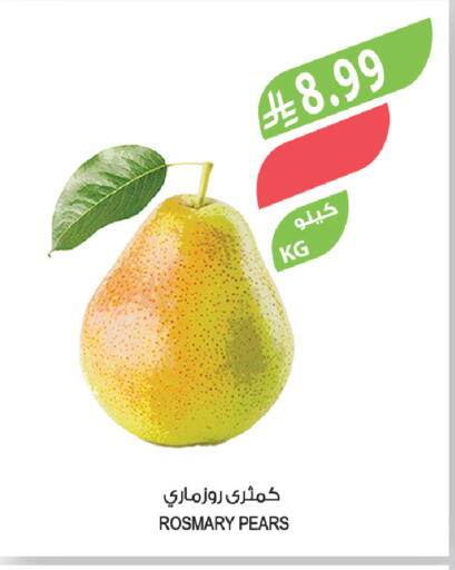 available at المزرعة in مملكة العربية السعودية, السعودية, سعودية - عرعر