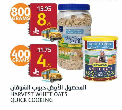 available at أسواق الجزيرة in مملكة العربية السعودية, السعودية, سعودية - الرياض