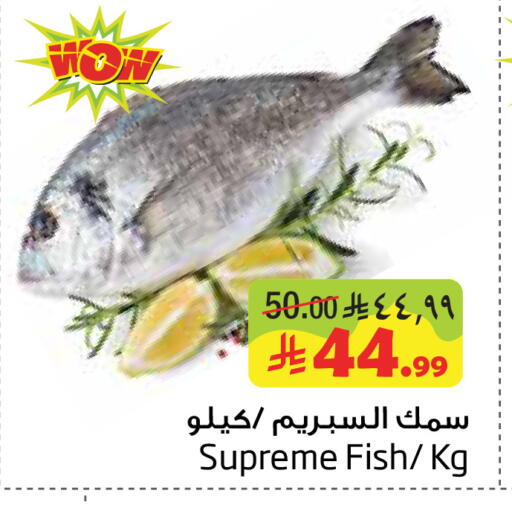 available at ليان هايبر in مملكة العربية السعودية, السعودية, سعودية - المنطقة الشرقية