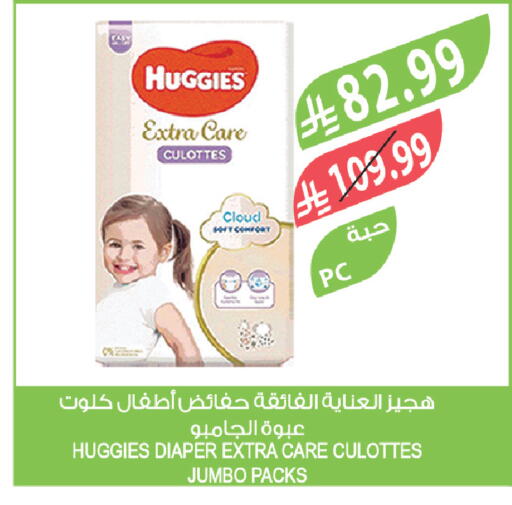 available at المزرعة in مملكة العربية السعودية, السعودية, سعودية - الباحة