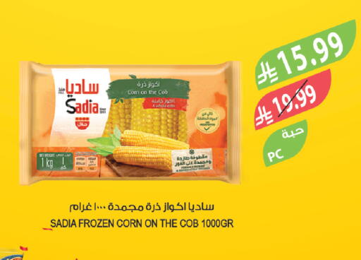 available at المزرعة in مملكة العربية السعودية, السعودية, سعودية - نجران