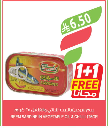 Chilli available at Farm  in KSA, Saudi Arabia, Saudi - Jazan