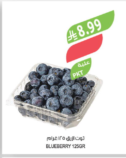Blueberry BlueBerry available at المزرعة in مملكة العربية السعودية, السعودية, سعودية - نجران