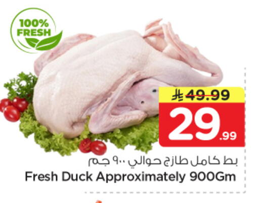 available at نستو in مملكة العربية السعودية, السعودية, سعودية - بريدة