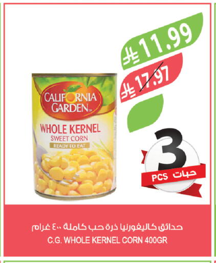 available at المزرعة in مملكة العربية السعودية, السعودية, سعودية - الباحة