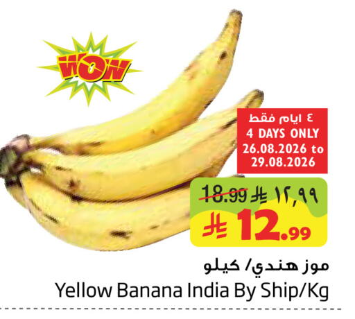 Banana from India available at Layan Hyper in KSA, Saudi Arabia, Saudi - Dammam