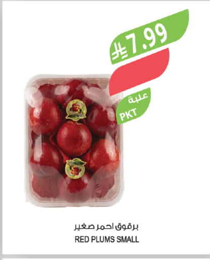 Plums available at المزرعة in مملكة العربية السعودية, السعودية, سعودية - عرعر
