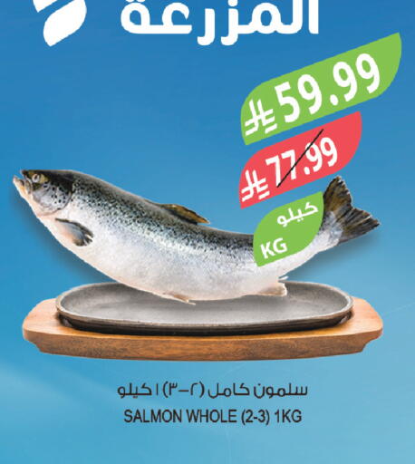available at المزرعة in مملكة العربية السعودية, السعودية, سعودية - الباحة