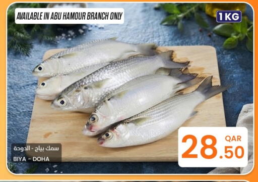 available at البلدي اليوم in قطر - الخور