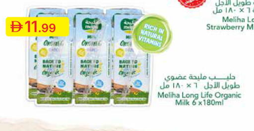 Strawberry available at جمعية الامارات التعاونية in الإمارات العربية المتحدة , الامارات - دبي