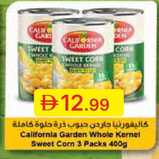 available at جمعية الامارات التعاونية in الإمارات العربية المتحدة , الامارات - دبي