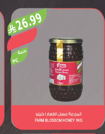 available at المزرعة in مملكة العربية السعودية, السعودية, سعودية - الباحة