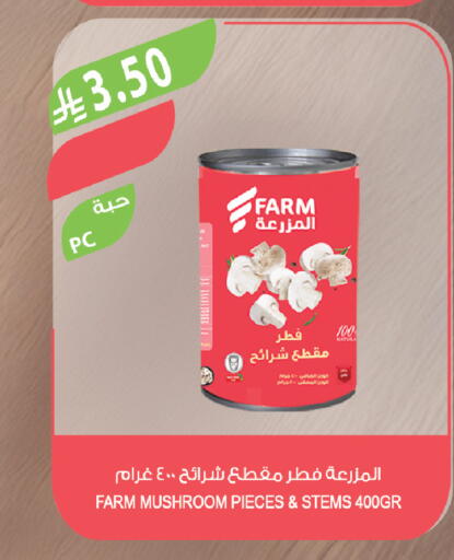 Mushroom available at المزرعة in مملكة العربية السعودية, السعودية, سعودية - الباحة