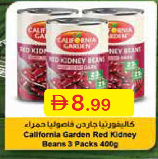 available at جمعية الامارات التعاونية in الإمارات العربية المتحدة , الامارات - دبي
