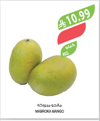 Mango available at المزرعة in مملكة العربية السعودية, السعودية, سعودية - عرعر