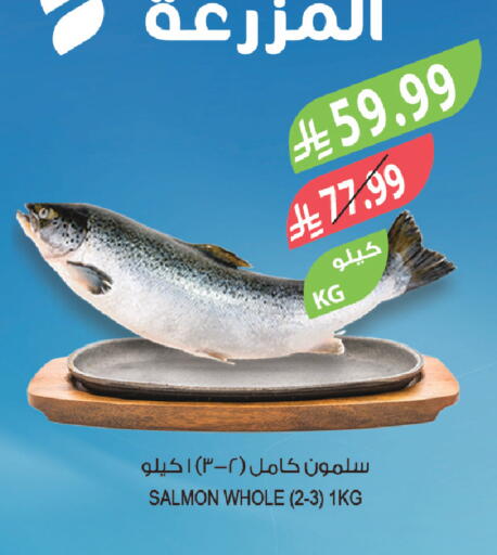 available at المزرعة in مملكة العربية السعودية, السعودية, سعودية - الخرج