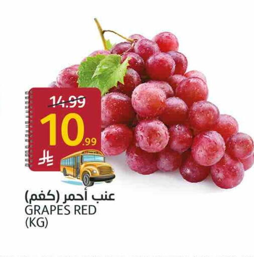 Grapes available at AlJazera Shopping Center in KSA, Saudi Arabia, Saudi - Riyadh