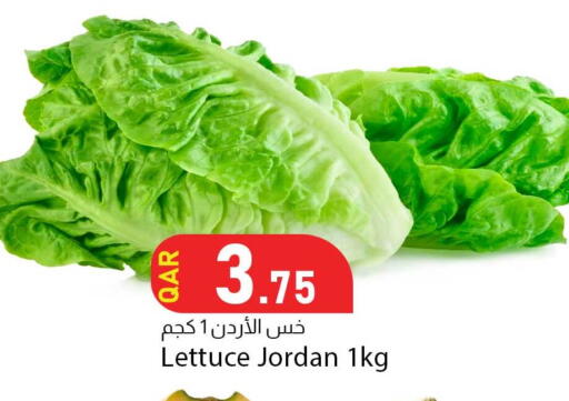 Lettuce from Jordan available at Dana Market in Qatar - Umm Salal