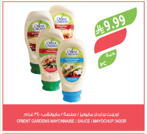 Garlic available at المزرعة in مملكة العربية السعودية, السعودية, سعودية - الجبيل‎