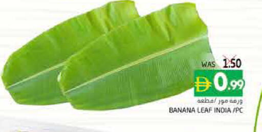 Banana from India available at هايبر ماركت باسونز in الإمارات العربية المتحدة , الامارات - ٱلْفُجَيْرَة‎