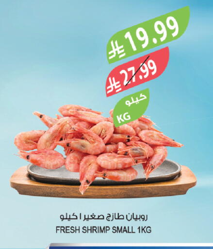 available at المزرعة in مملكة العربية السعودية, السعودية, سعودية - الخرج