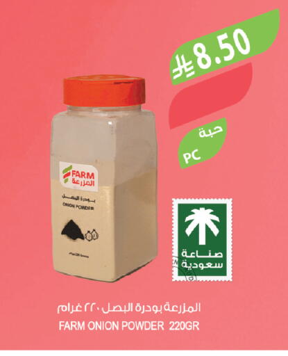 Onion available at Farm  in KSA, Saudi Arabia, Saudi - Yanbu