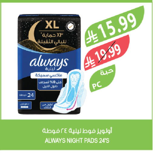 available at المزرعة in مملكة العربية السعودية, السعودية, سعودية - الباحة