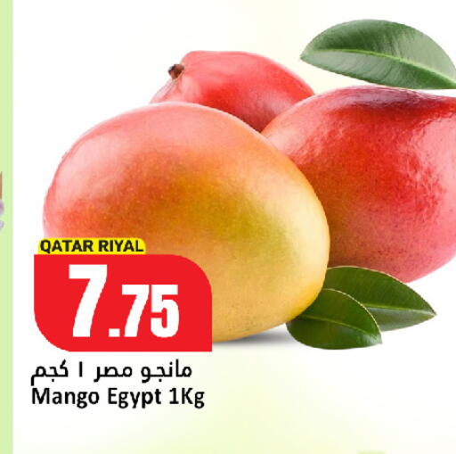 Mango from Qatar Egypt available at دانة هايبرماركت in قطر - الخور