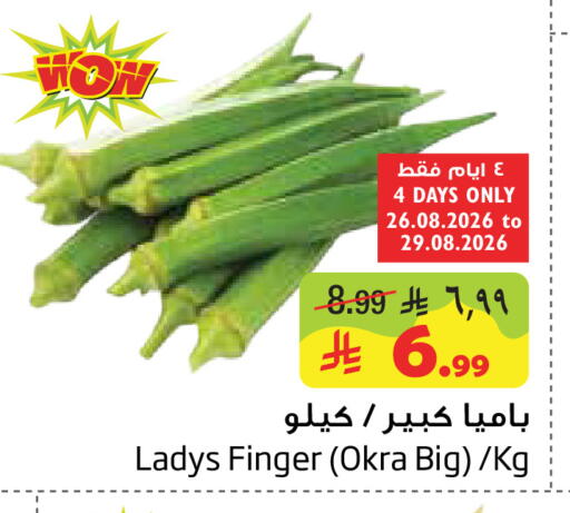 Okra available at Layan Hyper in KSA, Saudi Arabia, Saudi - Dammam