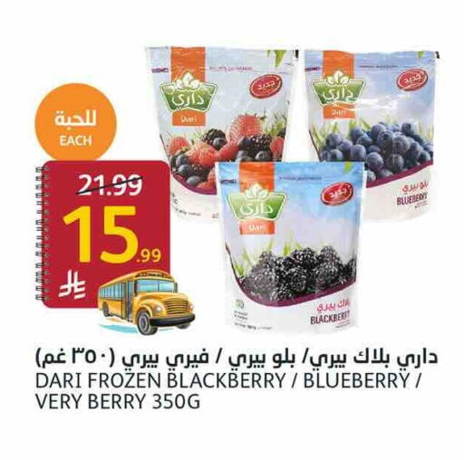 Blueberry BlueBerry Blackberry available at AlJazera Shopping Center in KSA, Saudi Arabia, Saudi - Riyadh