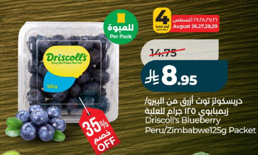 Blueberry BlueBerry available at لولو هايبرماركت in مملكة العربية السعودية, السعودية, سعودية - تبوك